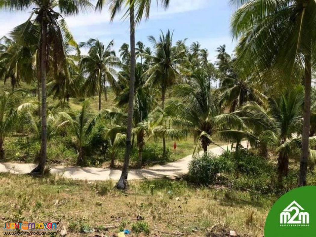 Breeze Highlands(LOT ONLY)Sogod, Cebu