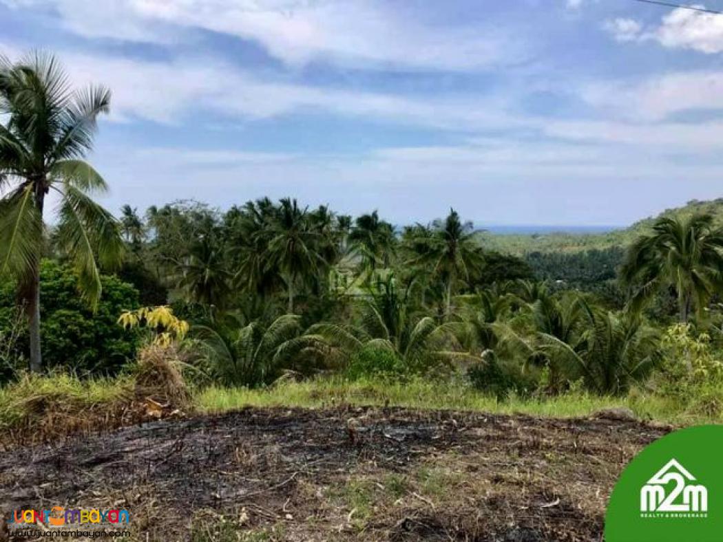 Breeze Highlands(LOT ONLY)Sogod, Cebu