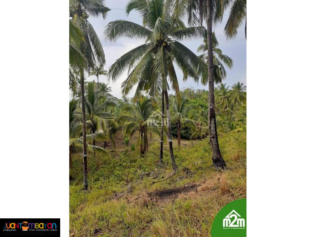 Breeze Highlands(LOT ONLY)Sogod, Cebu