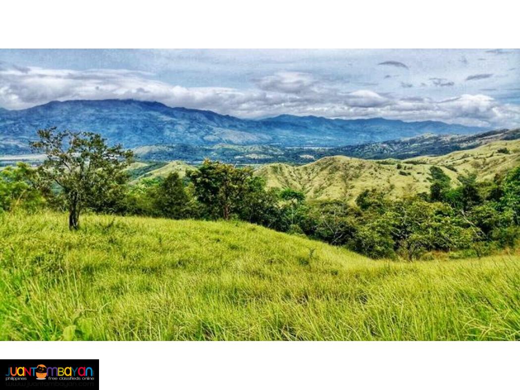 11 Hectare Farm for Sale Bambang, Nueva Vizcaya