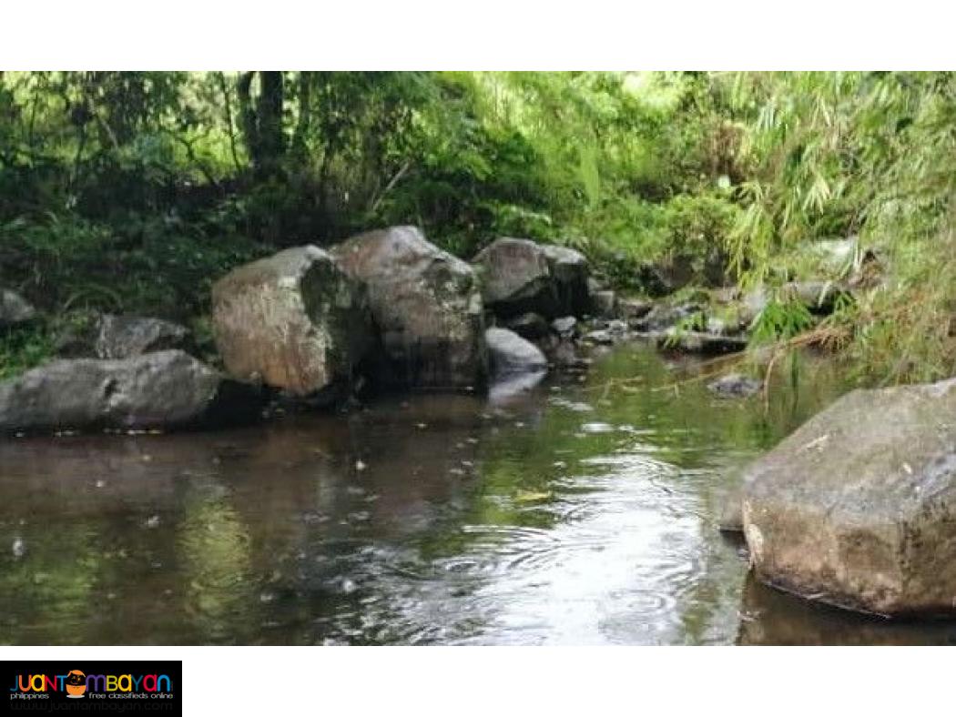 11 Hectare Farm for Sale Bambang, Nueva Vizcaya