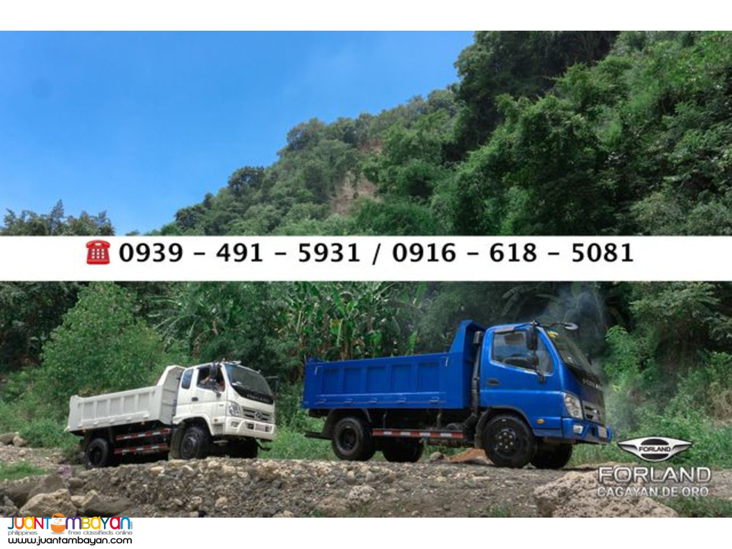 3CUBIC 4X2 DUMPTRUCK FORLAND ISUZU ENGINE