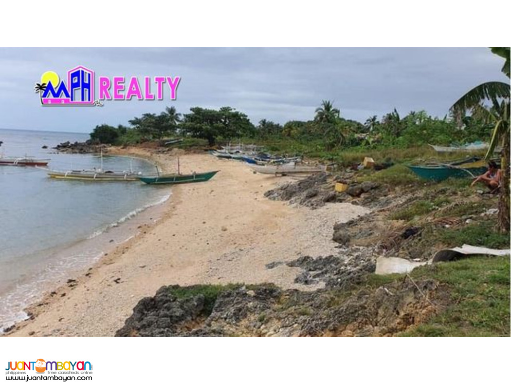 AMAZING BEACH LOT FOR SALE IN SAN REMIGIO, CEBU