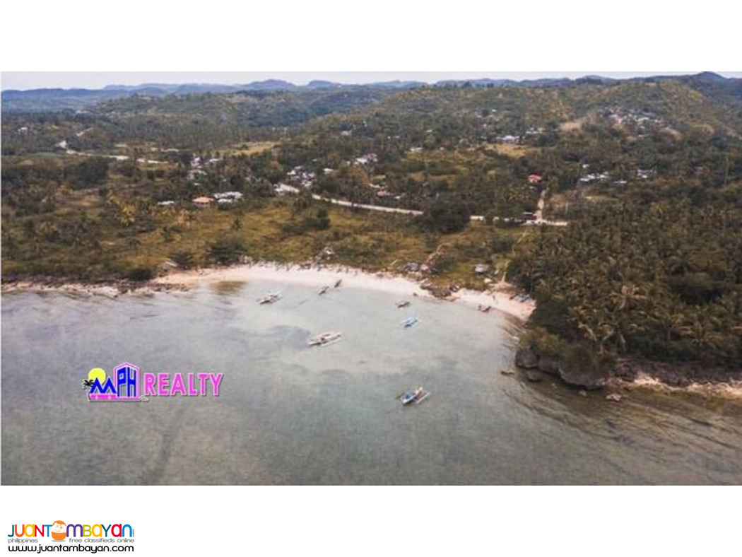 AMAZING BEACH LOT FOR SALE IN SAN REMIGIO, CEBU