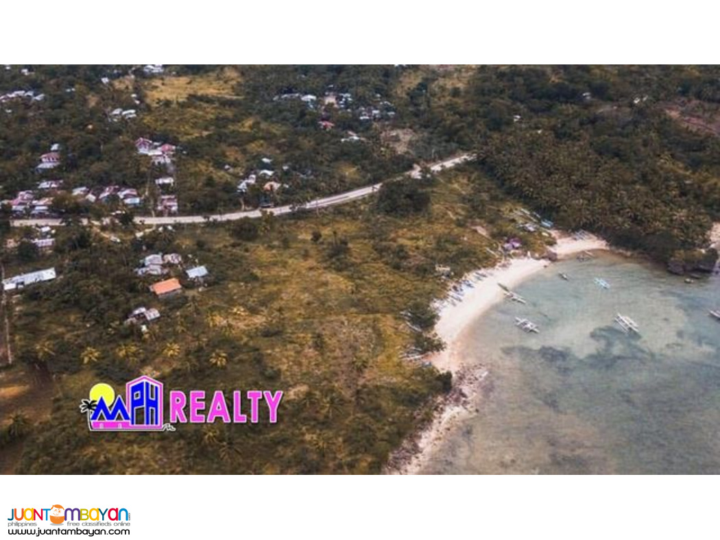 AMAZING BEACH LOT FOR SALE IN SAN REMIGIO, CEBU