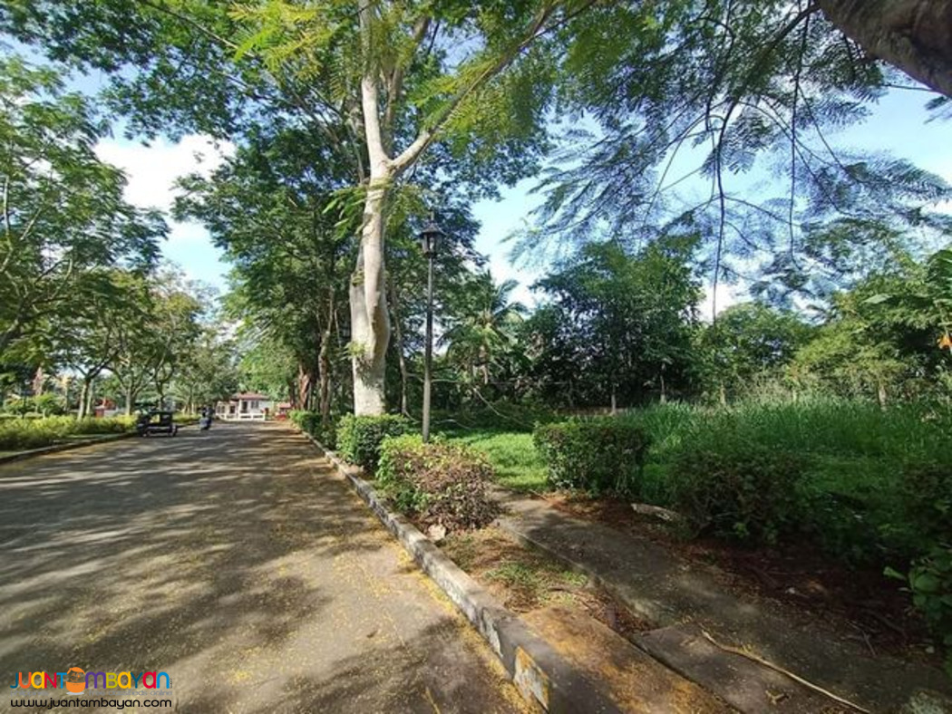 Commercial lot for sale hacienda sta. monica lipa city batangas