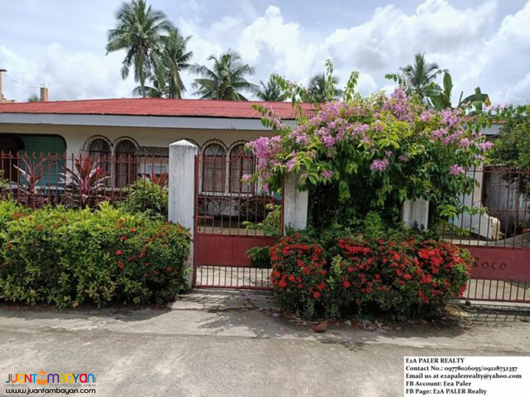 House and Lot near beach for sale