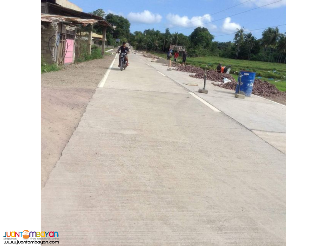 2.8 HECTARES CLEAN TITLE MANGO FARM IN UBAY BOHOL