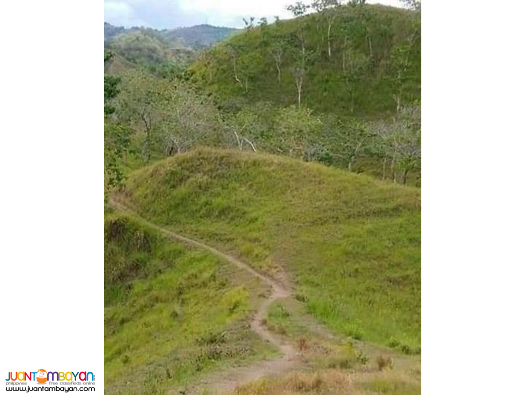 30 HECTARES FARM LAND IDEAL FOR ECO-TOURISM IN BUENAVISTA BOHOL