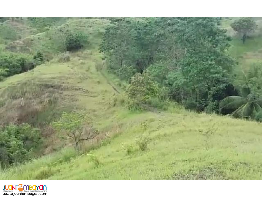 30 HECTARES FARM LAND IDEAL FOR ECO-TOURISM IN BUENAVISTA BOHOL