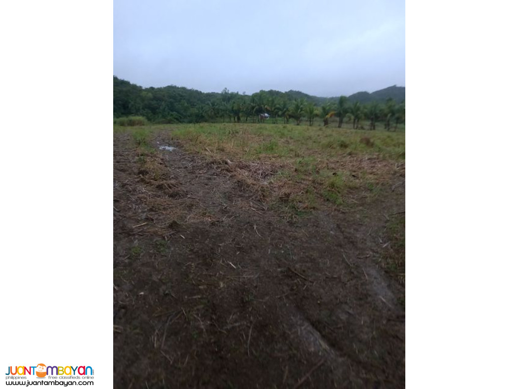 1.6 HECTARE EXPANDABLE UP TO 9 HECTARES IN TABOGON CEBU