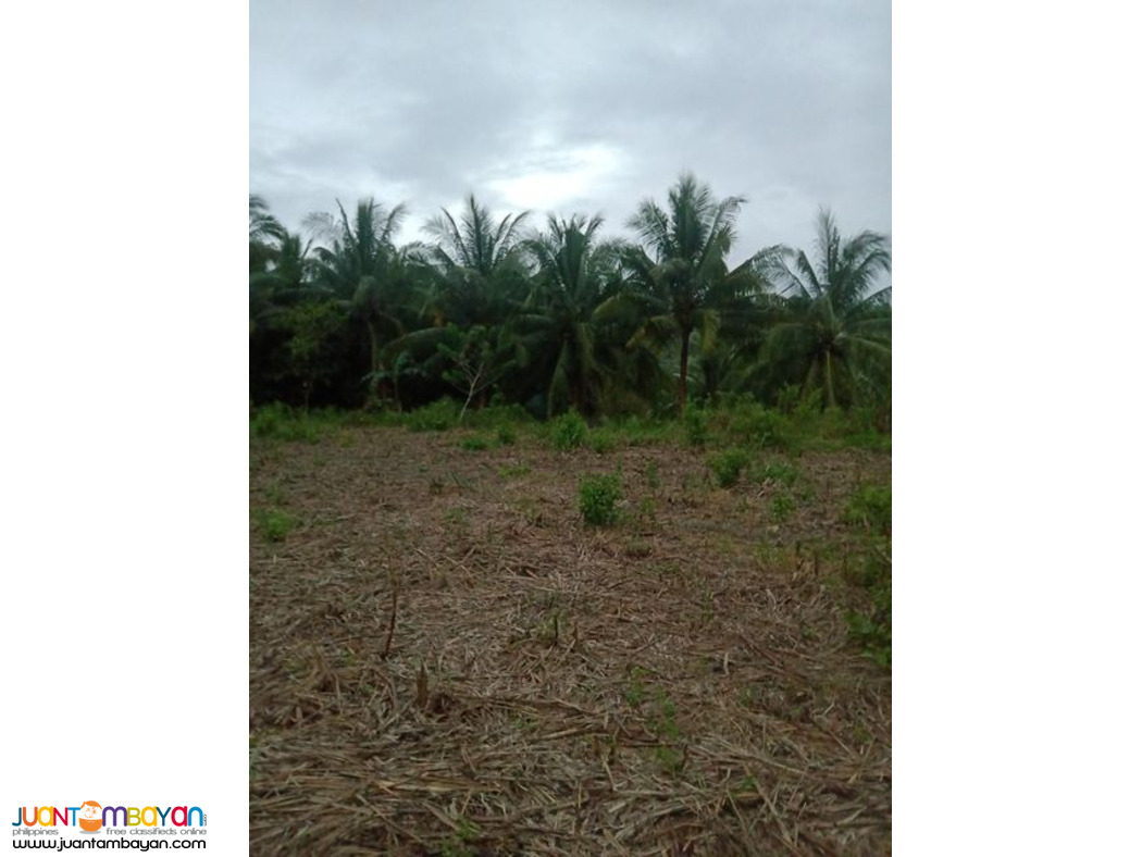1.6 HECTARE EXPANDABLE UP TO 9 HECTARES IN TABOGON CEBU