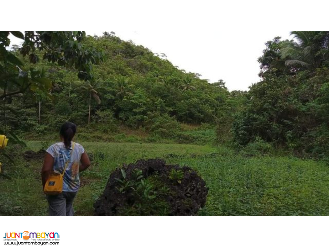 VERY CHEAP Land for sale in Mabunao, Cebu