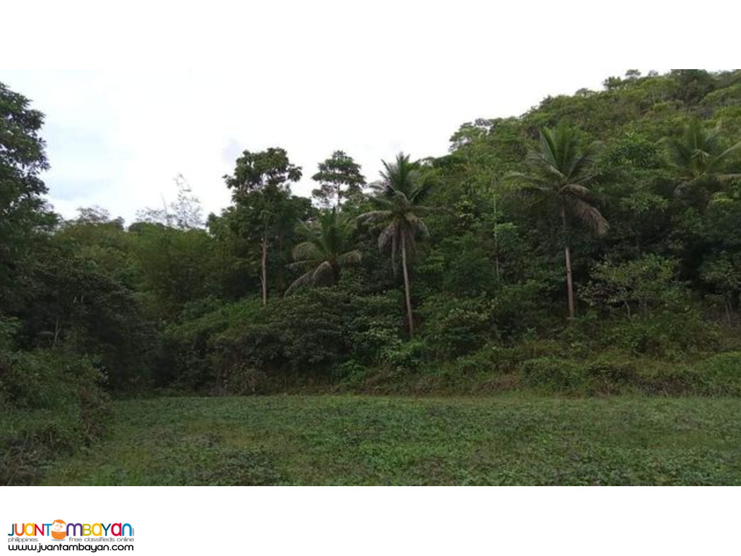 VERY CHEAP Land for sale in Mabunao, Cebu
