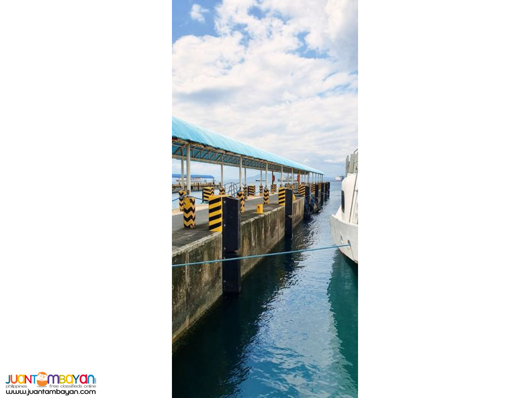 V-Type Rubber Dock Fender 