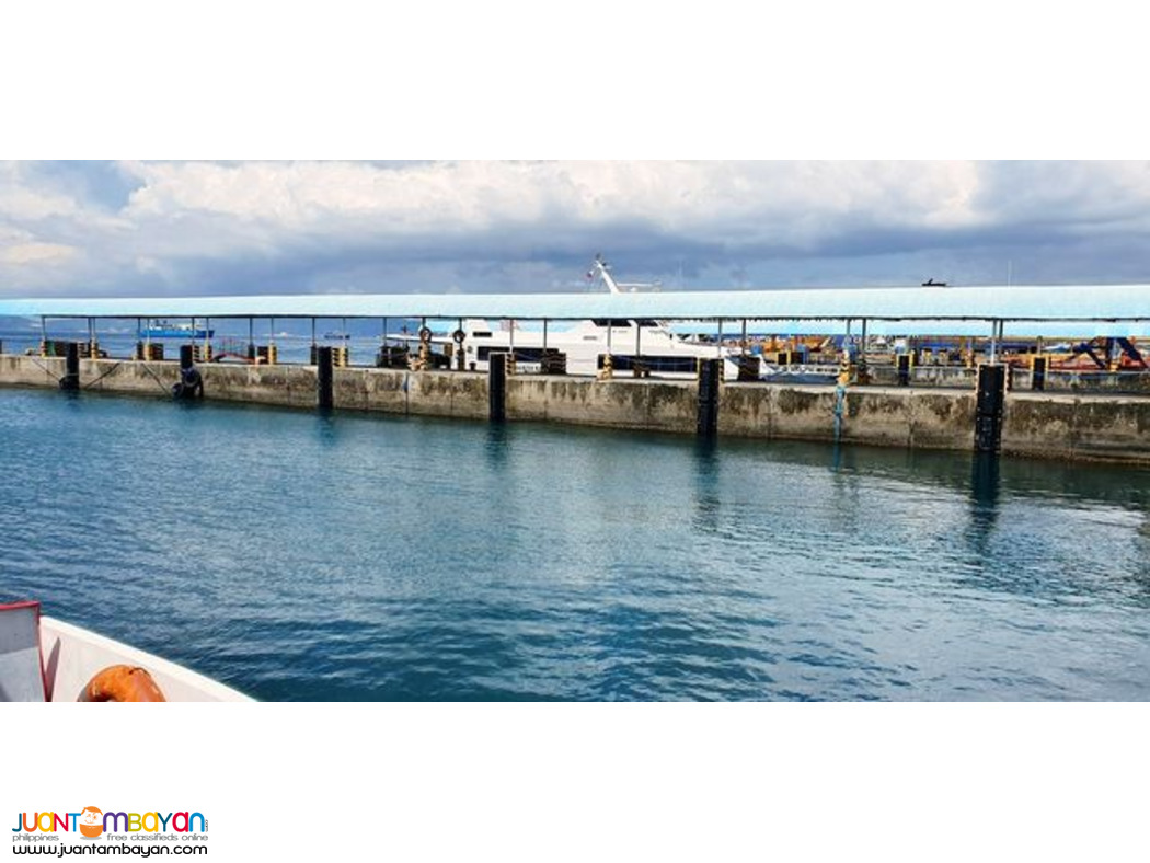 V-Type Rubber Dock Fender 