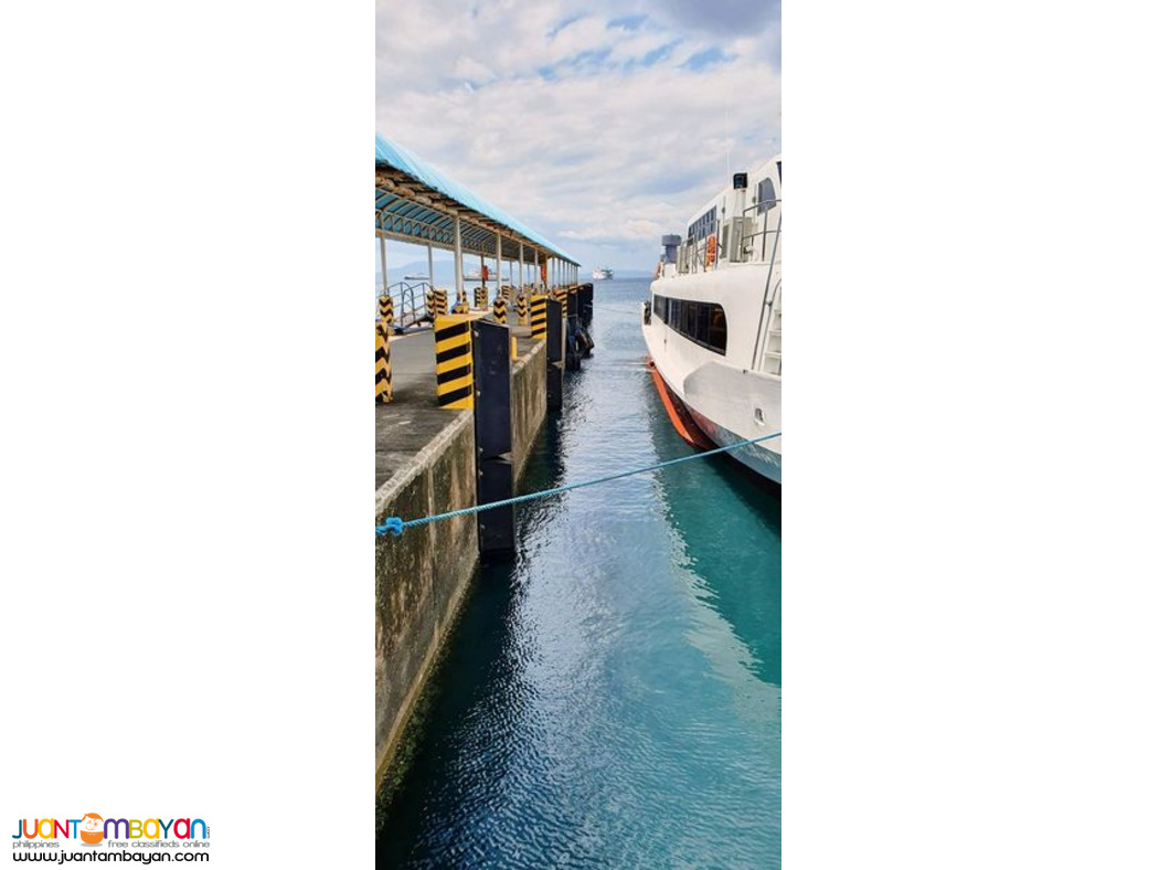 V-Type Rubber Dock Fender 