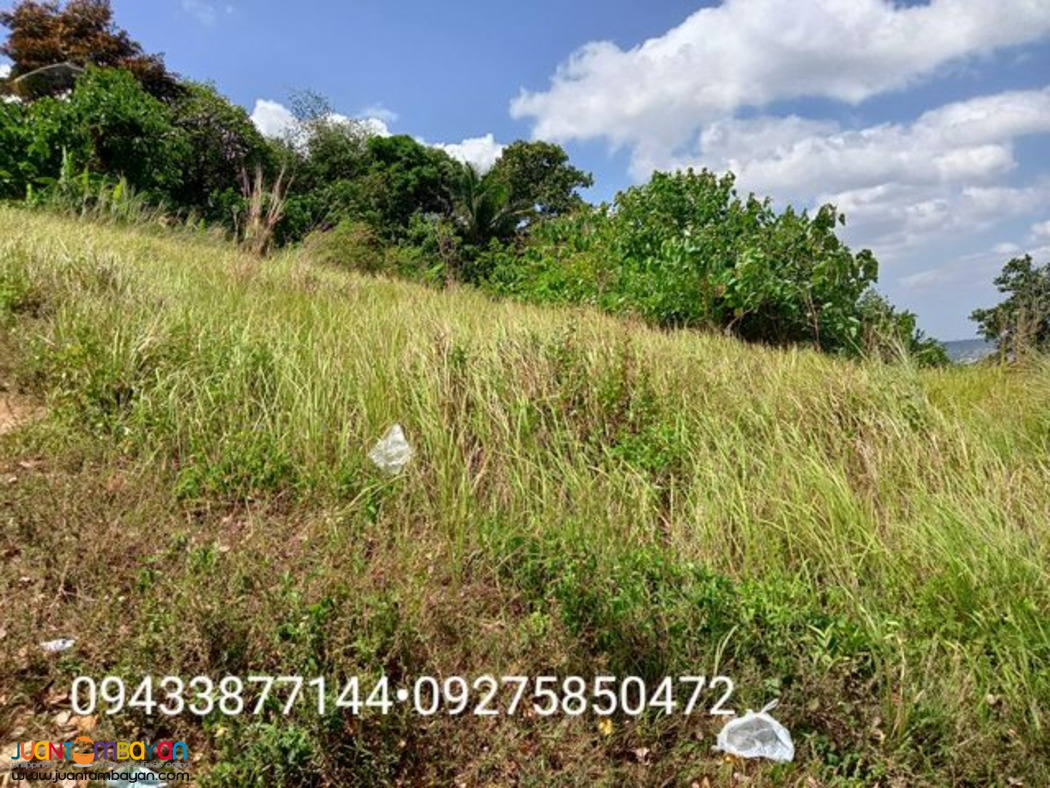 OVERLOOKING LOT FOR SALE IN SAN MATEO RIZAL