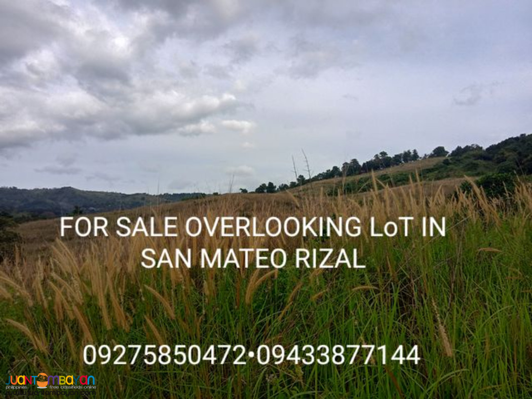 OVERLOOKING LOT FOR SALE IN SAN MATEO RIZAL