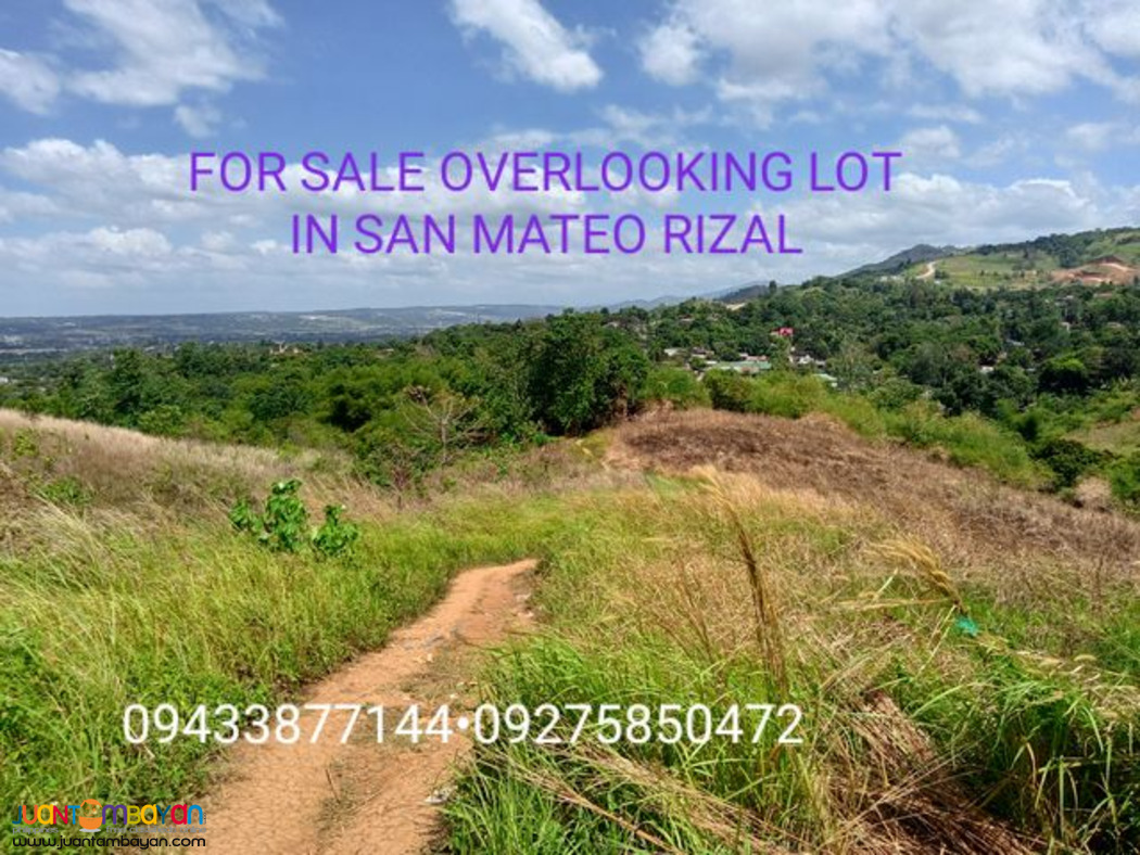 OVERLOOKING LOT FOR SALE IN SAN MATEO RIZAL