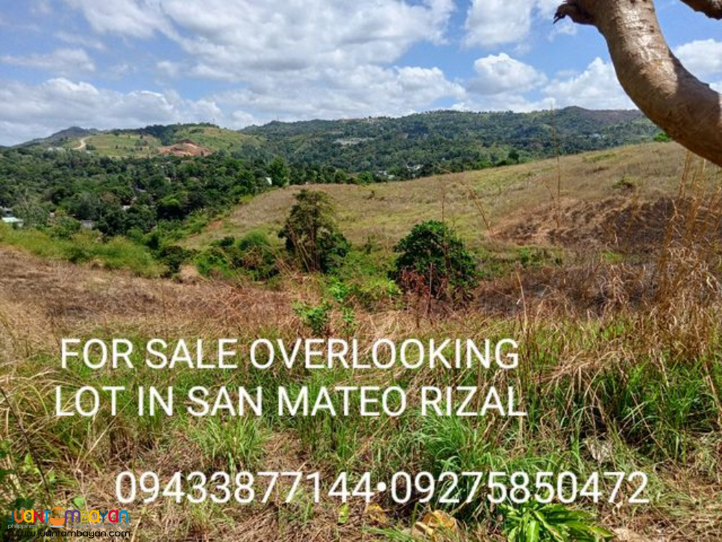 OVERLOOKING LOT FOR SALE IN SAN MATEO RIZAL