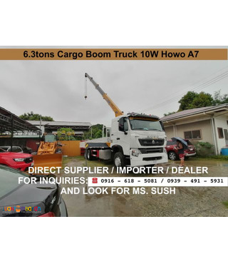 6.3 TONS CARGO BOOM TRUCK 10 WHEELER sinotruk HOWO A7
