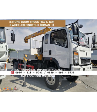 6 wheeler Cargo boom truck 3.2 tons 4x2 & 4x4 sinotruk homan h3 