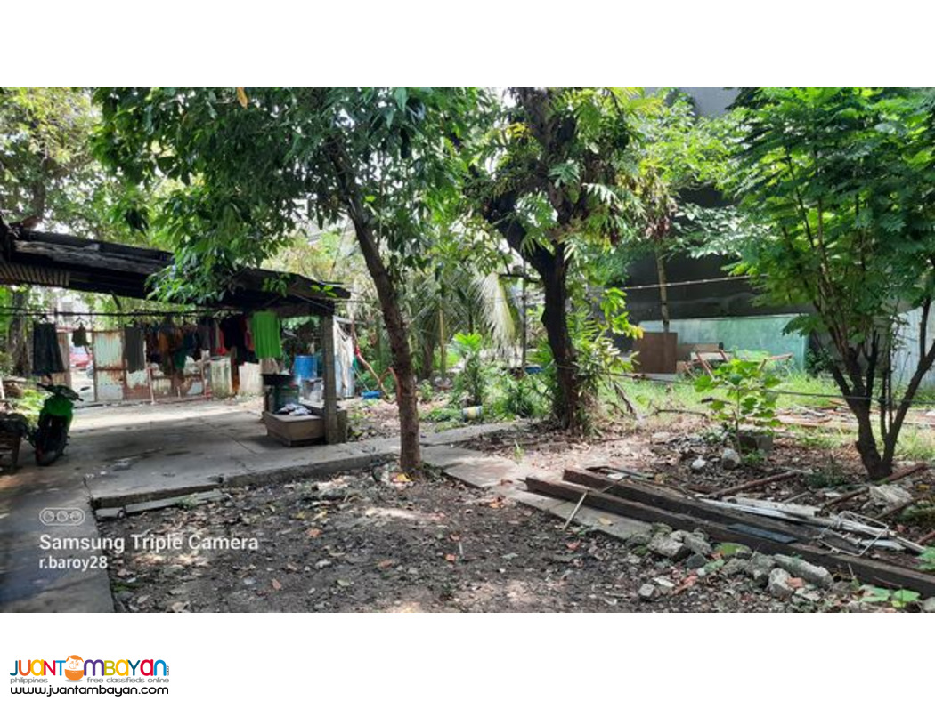 Sun Valley Subdivision Lot for Sale Cebu 677 sqm