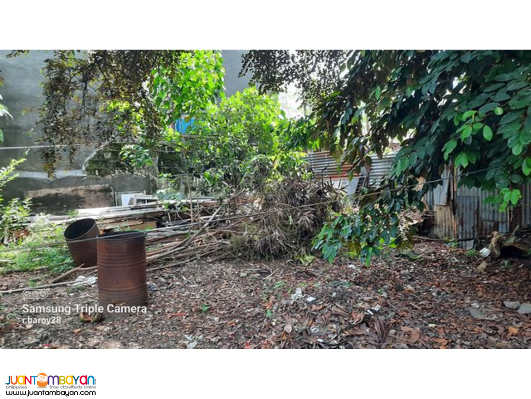 Sun Valley Subdivision Lot for Sale Cebu 677 sqm