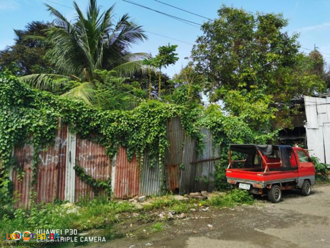 Sun Valley Subdivision Lot for Sale Cebu 677 sqm