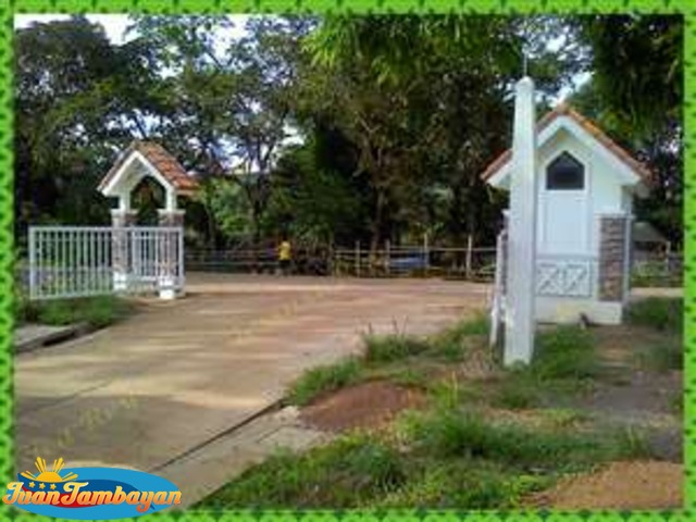 Oro Vista Grande lots for sale Marcos Hway