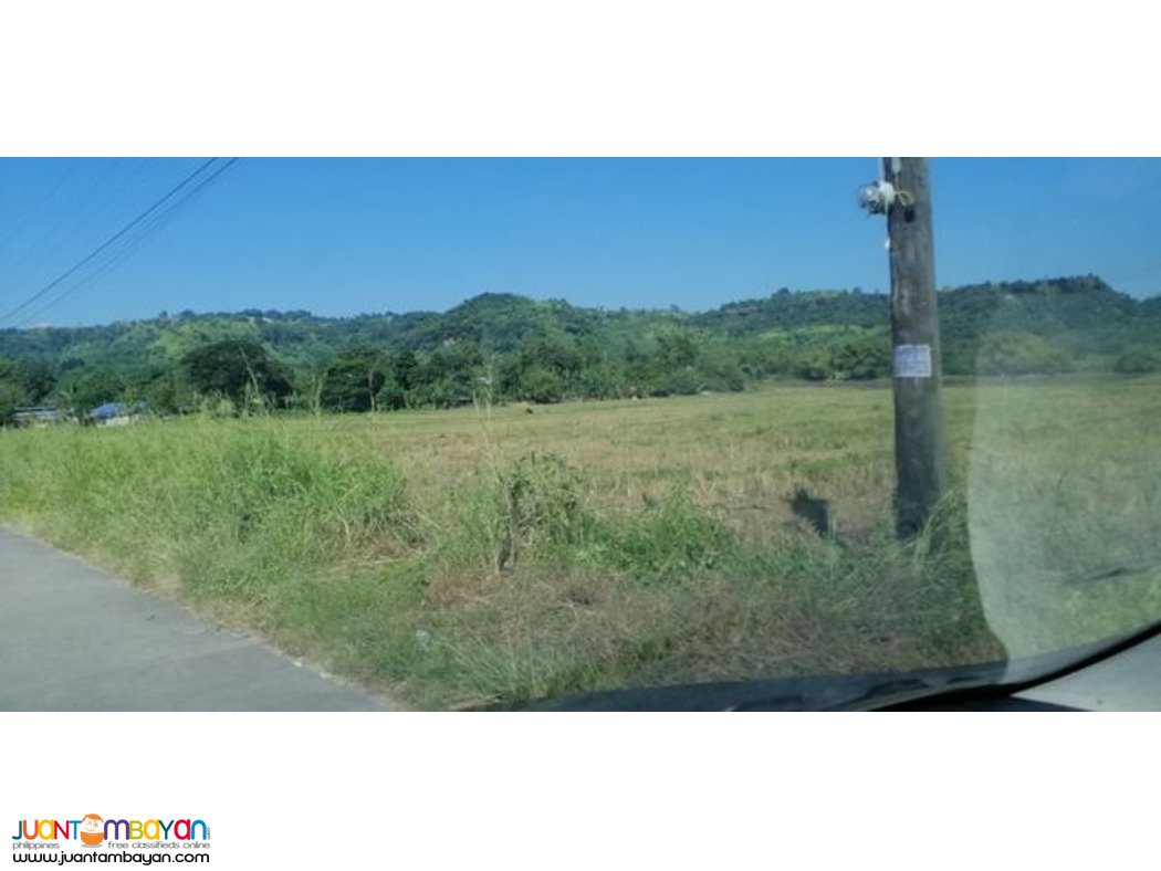 Lot for Sale (Bamban Tarlac) Lot for Sale (Bamban Tarlac)