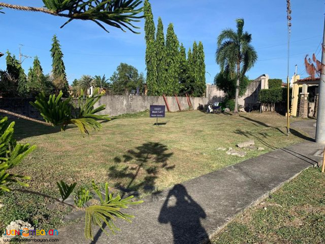 Lot for Sale in Ponticelli Daang Hari Bacoor Cavite