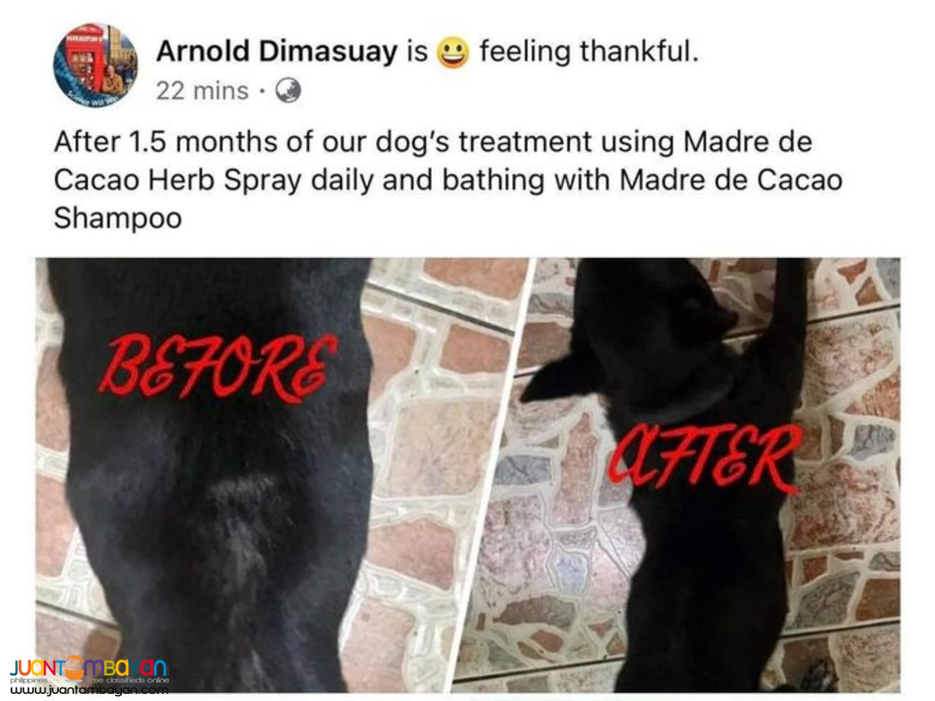 Madre de cacao premium organic herb spray for cats & dogs