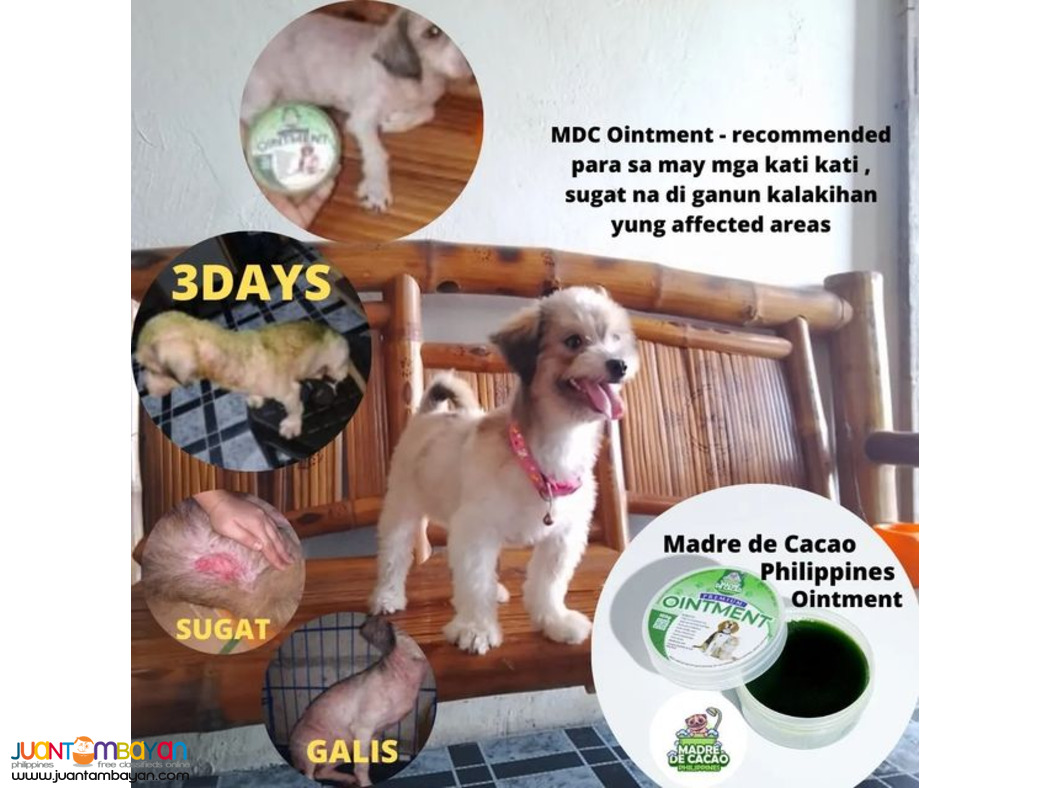 madre de cacao premium organic ointment for cats & dogs