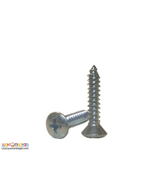gALVANIZE HARDENED mETAL sCREW