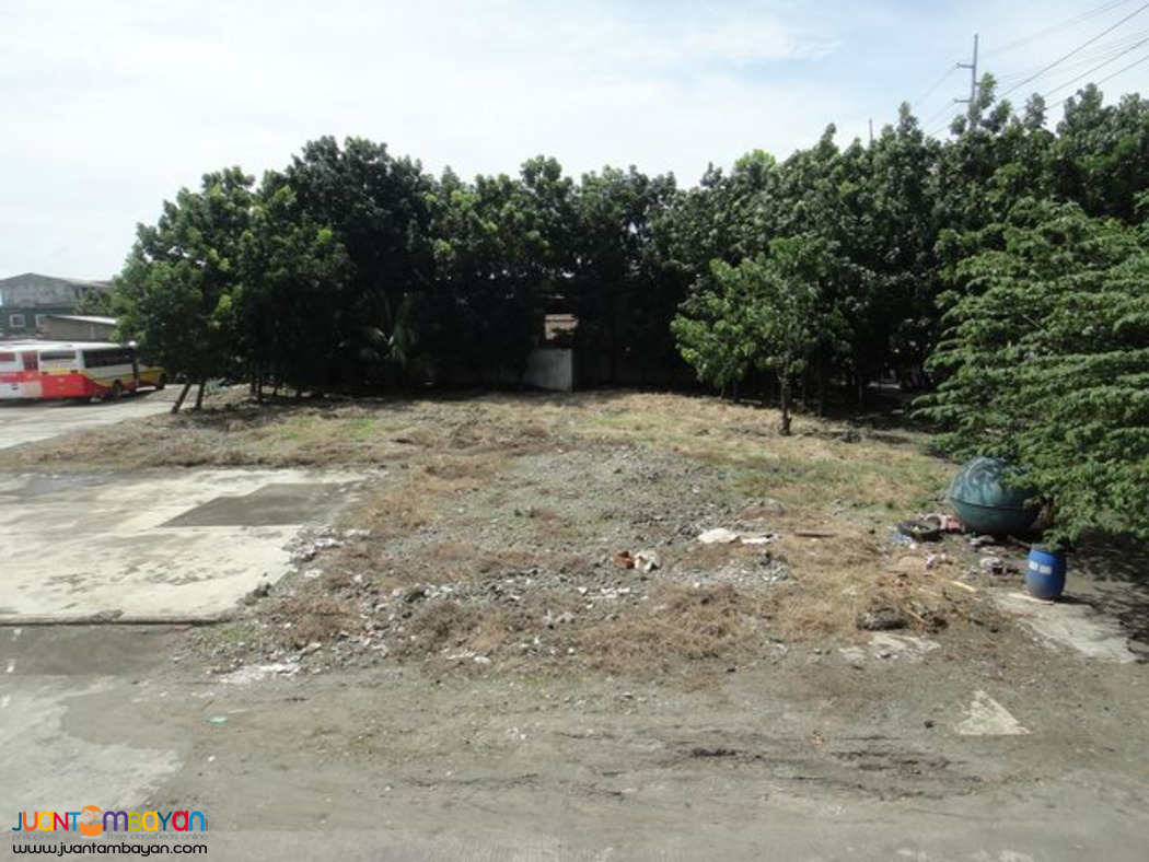 VACANT LOT FOR LEASE IN LAGUNA