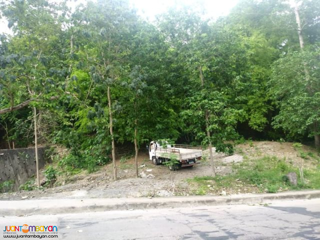 VISTA GRANDE SUBD. NEAR ENTRANCE GATE. BULACAO TALISAY CITY, CEBU 