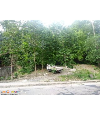 VISTA GRANDE SUBD. NEAR ENTRANCE GATE. BULACAO TALISAY CITY, CEBU 