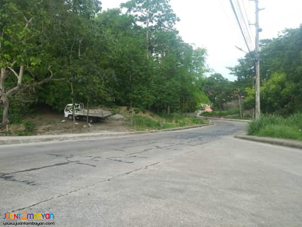 VISTA GRANDE SUBD. NEAR ENTRANCE GATE. BULACAO TALISAY CITY, CEBU 