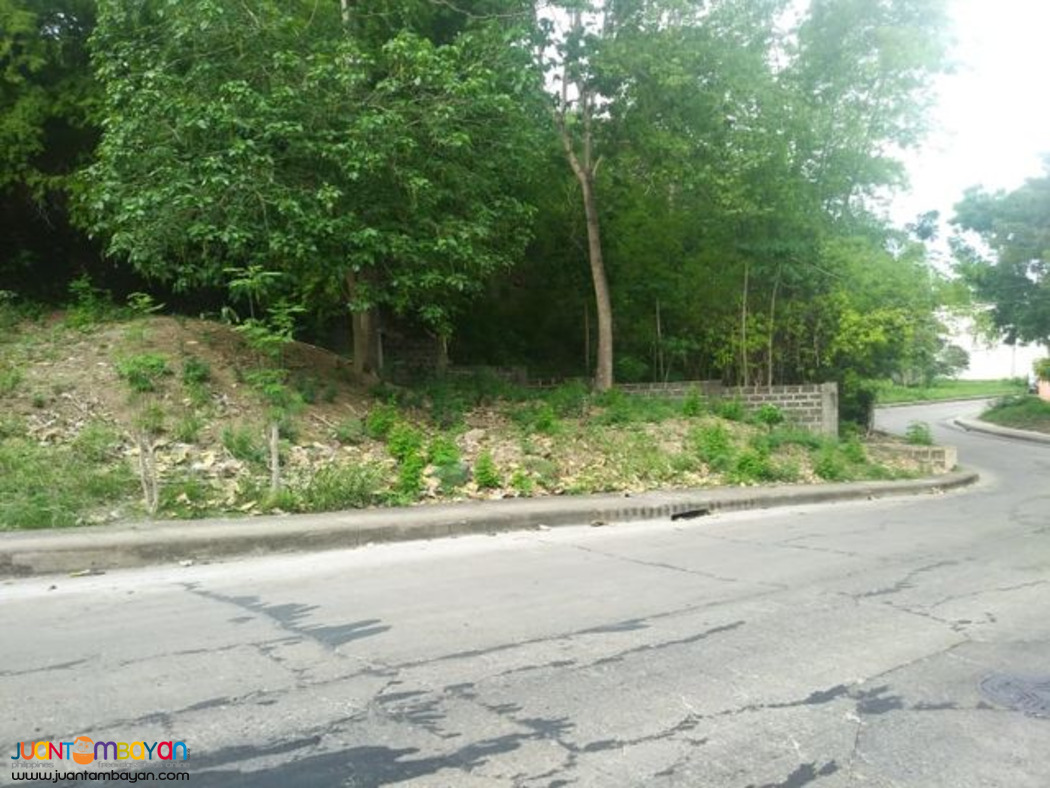 VISTA GRANDE SUBD. NEAR ENTRANCE GATE. BULACAO TALISAY CITY, CEBU 