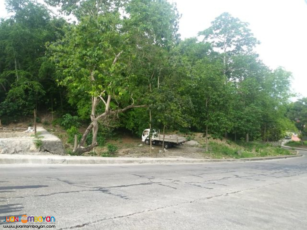 VISTA GRANDE SUBD. NEAR ENTRANCE GATE. BULACAO TALISAY CITY, CEBU 