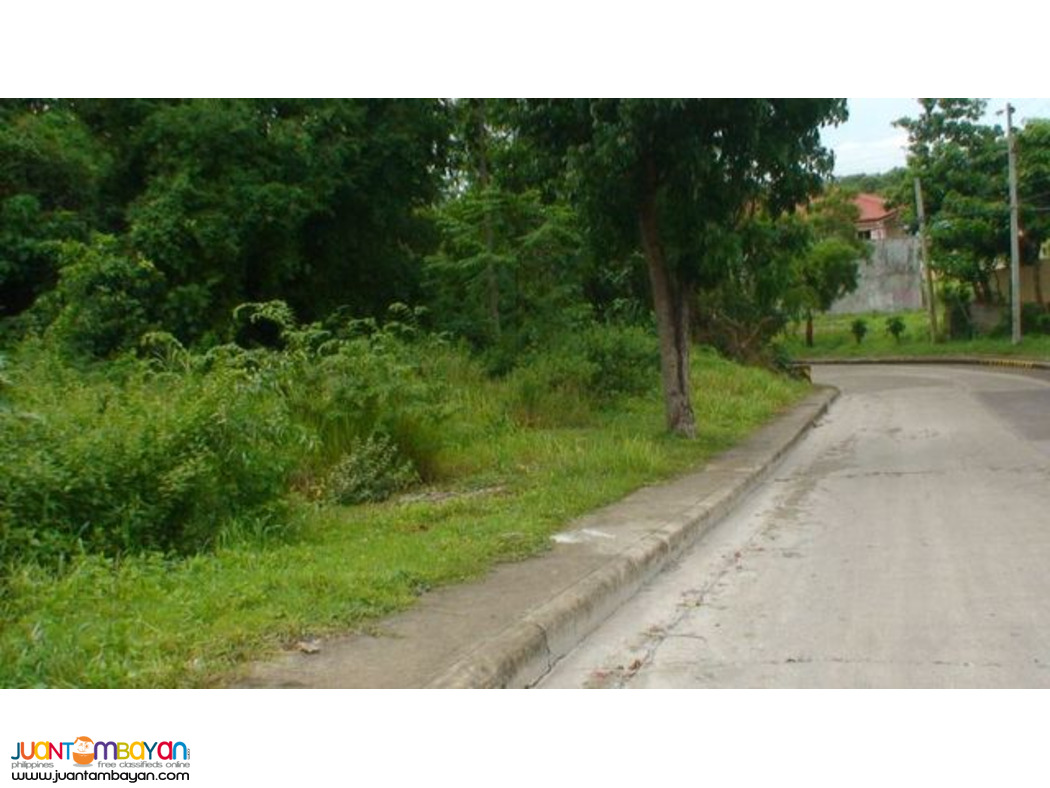 VISTA GRANDE SUBD. NEAR ENTRANCE GATE. BULACAO TALISAY CITY, CEBU 