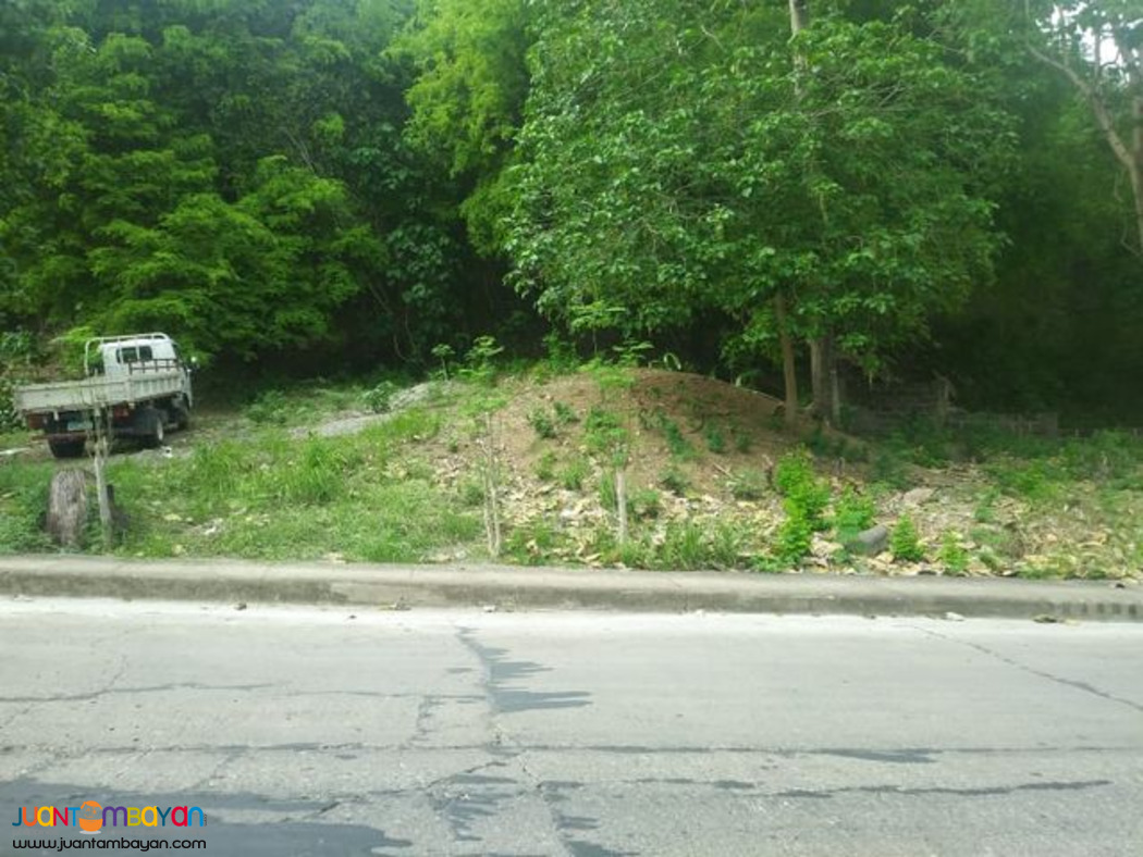 VISTA GRANDE SUBD. NEAR ENTRANCE GATE. BULACAO TALISAY CITY, CEBU 