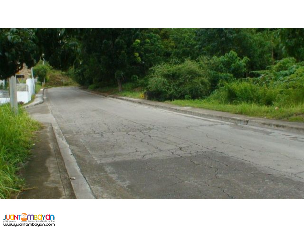VISTA GRANDE SUBD. NEAR ENTRANCE GATE. BULACAO TALISAY CITY, CEBU 