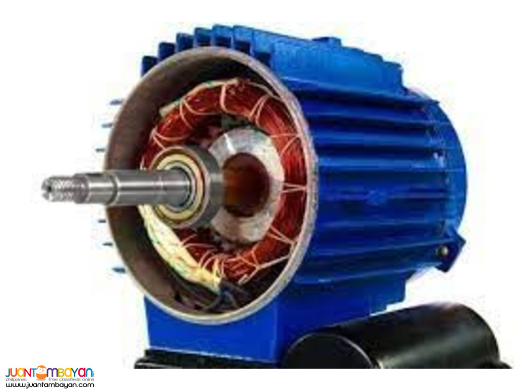 Electric Motor Rewinding