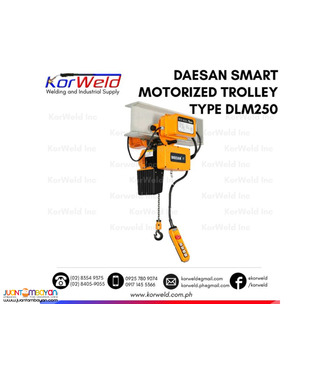 Smart Electric Hoist with Motorized Trolley 250kgs.