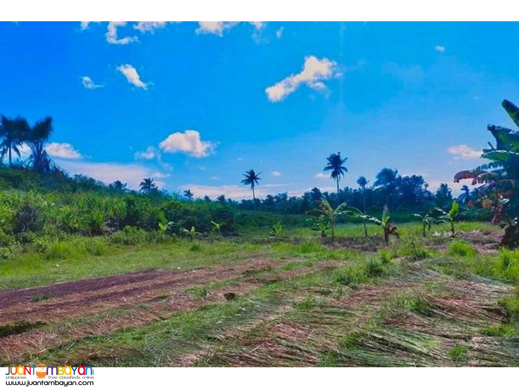 SOUTHVILLE RESIDENCES Ronda Cebu lot for sale