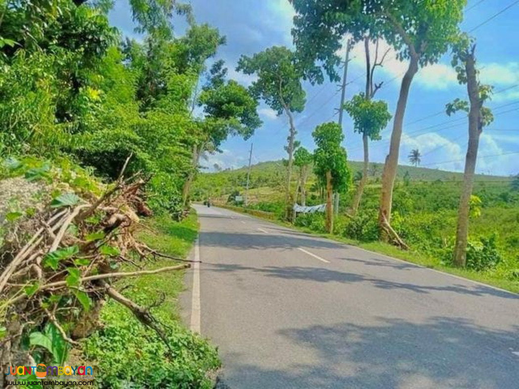 SOUTHVILLE RESIDENCES Ronda Cebu lot for sale