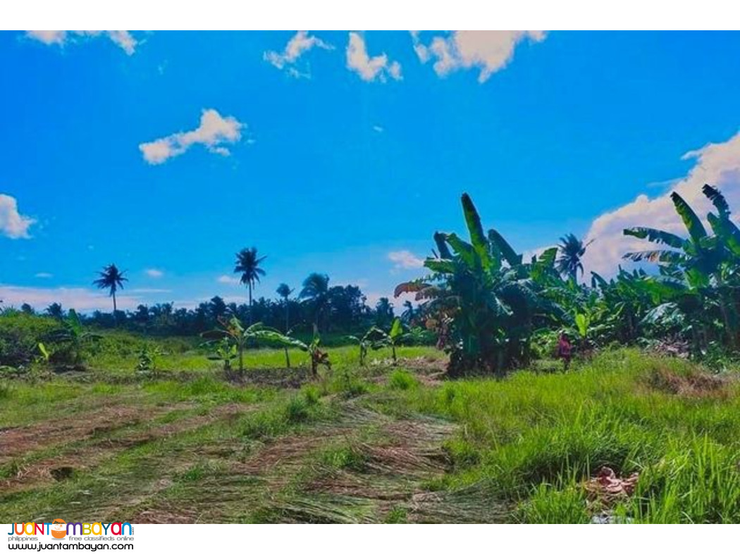 SOUTHVILLE RESIDENCES Ronda Cebu lot for sale